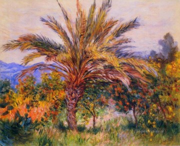  Tree Art - A Palm Tree at Bordighera Claude Monet